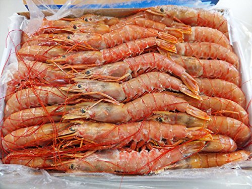 Amazon.co.jp: 赤えび 2kg 60-80尾 L-3 赤エビ 赤海老 あかえび